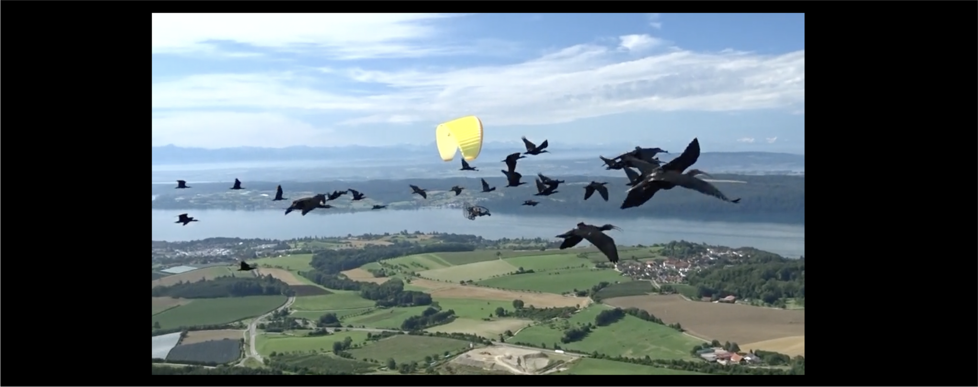 1/24: Communities in Defense of the Environment, Preventing Mega-Fires, Flying with the Bald Ibis