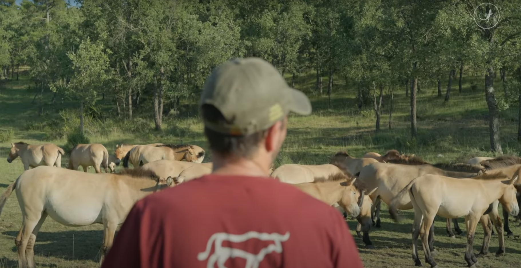 9/25: Mega Fires, Air Conditioning Yes or No, Reintroducing Horses to Prevent Wildfires