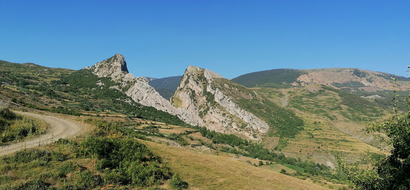 From Water to Weeds: Not All Critical Minerals Need to Come From Digging Up the Earth