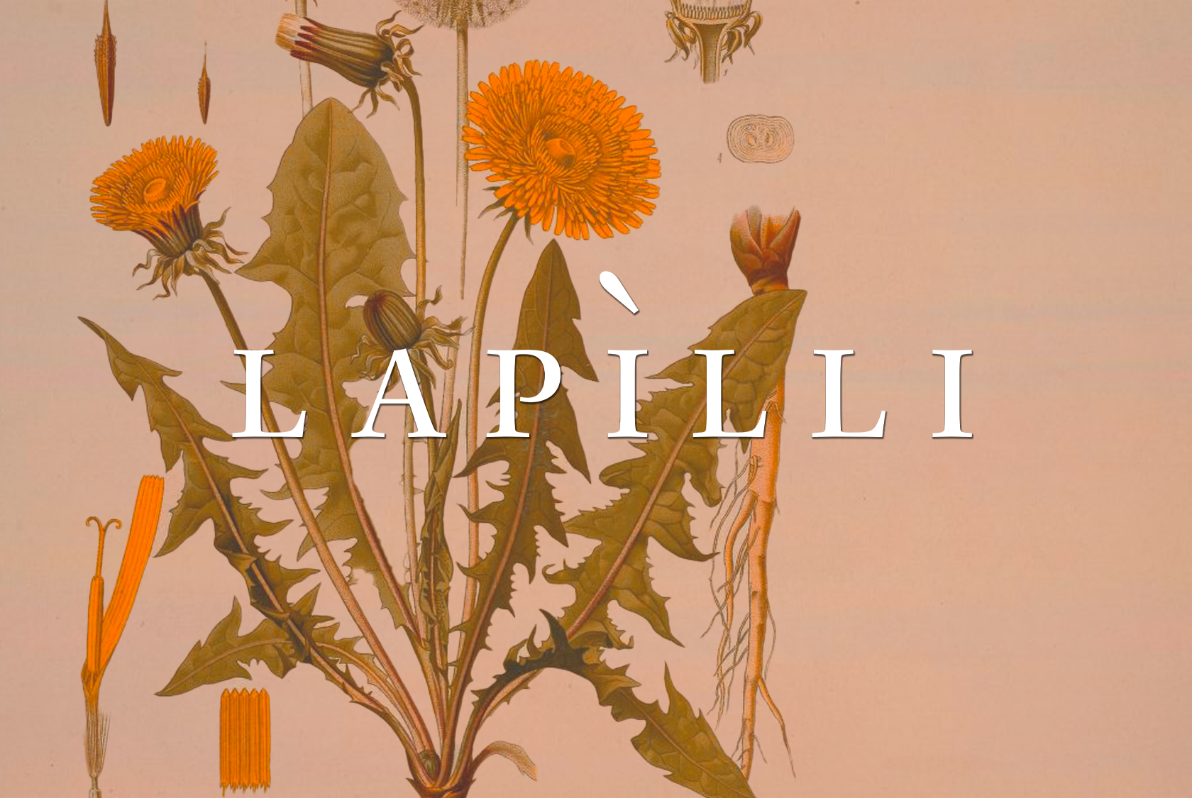 10/25: The Consequences of Very Hot Summers, Desalination in Morocco, Tracking Air Pollution