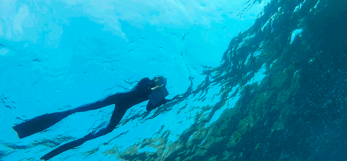 Alla ricerca di indizi di un Mediterraneo che si riscalda