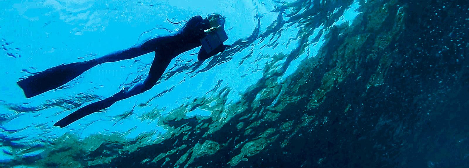 Scuba Diving in Search for Signs of a Warming Sea