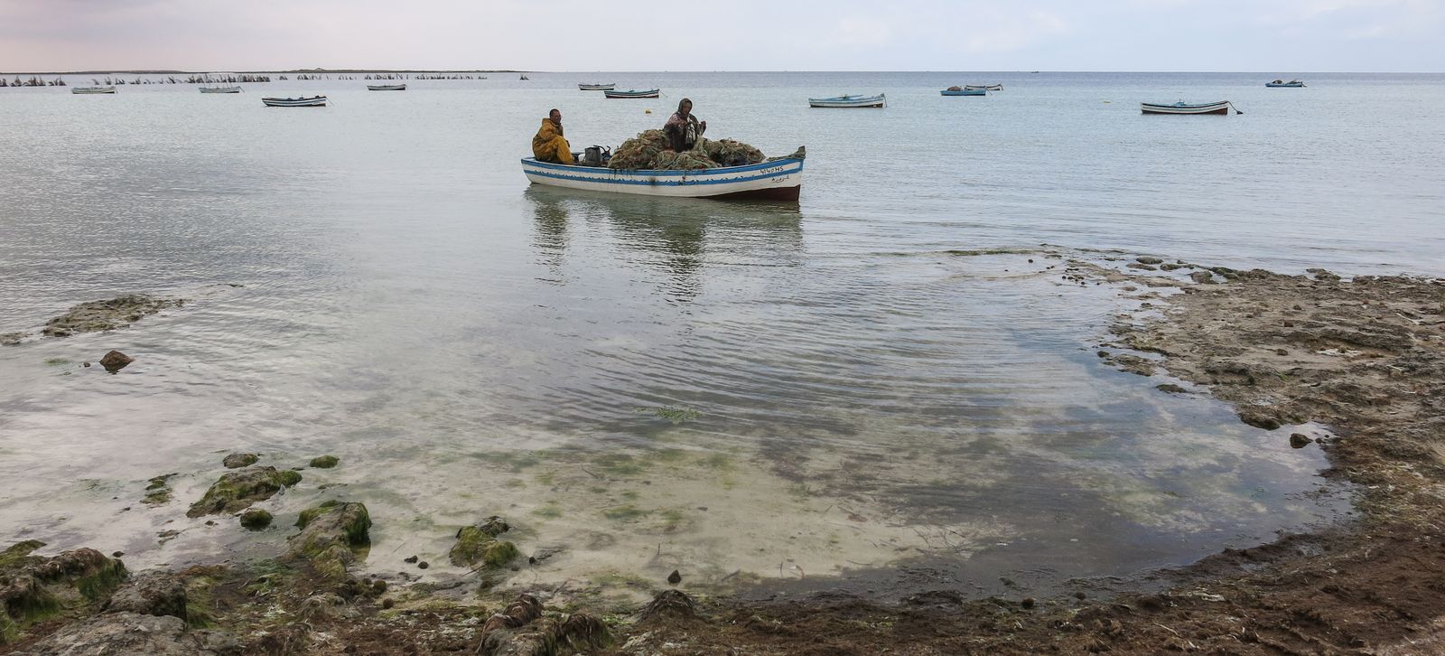 Tasty Invaders: New Fisheries in a Changing Mediterranean