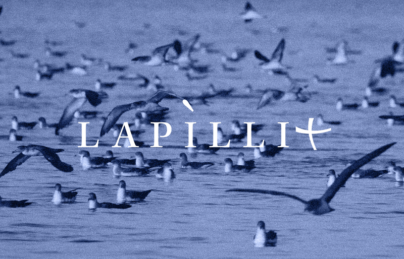 Linosa and Its Shearwaters